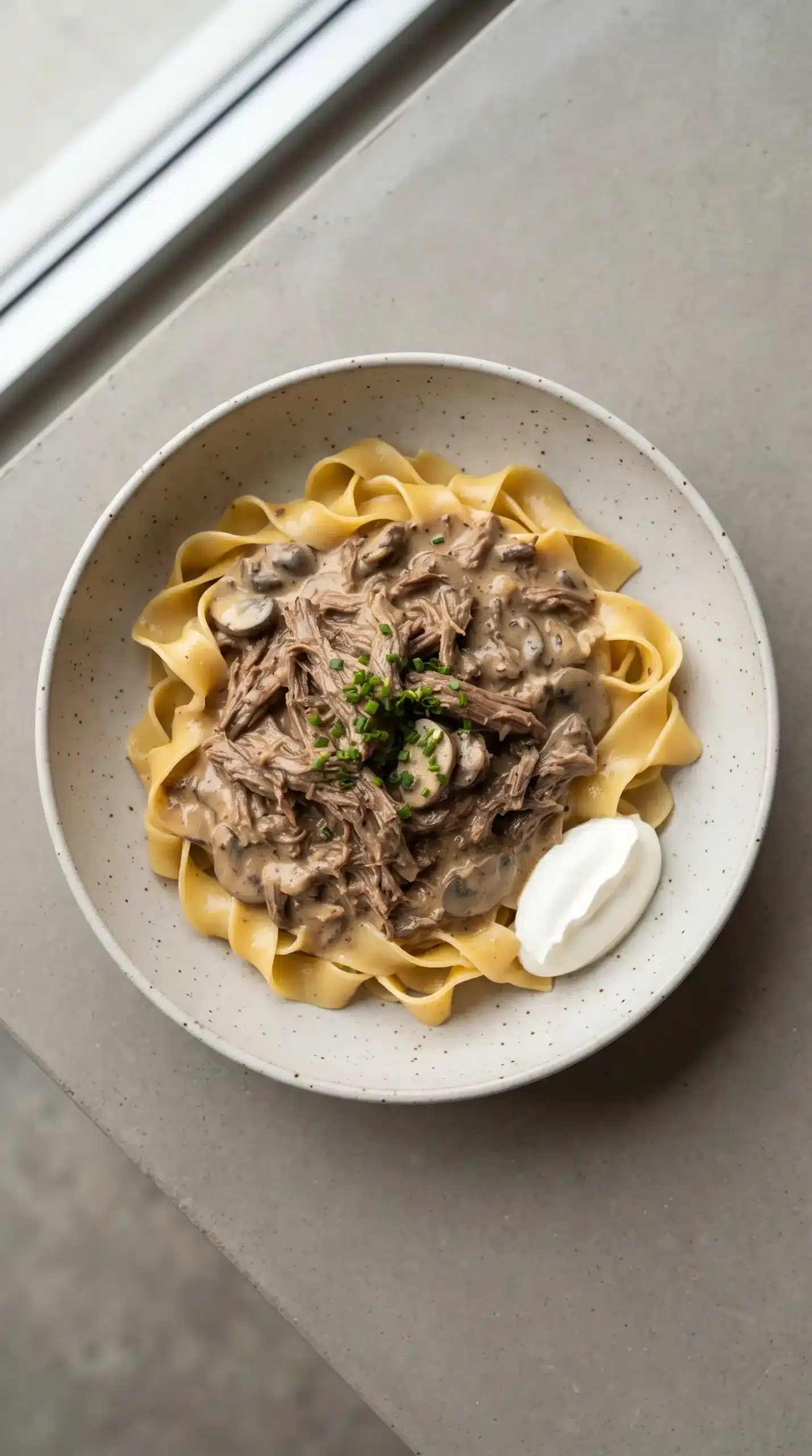 Beef stroganoff with creamy mushroom gravy and shredded beef over egg noodles